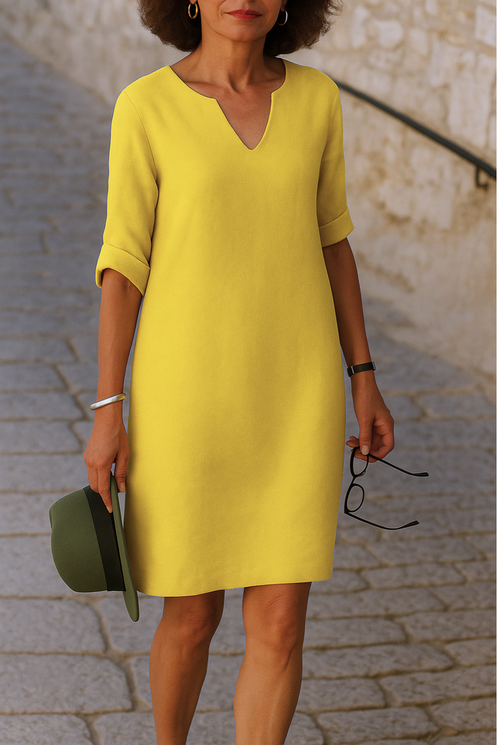 IDA | ELEGANT V-NECK DRESS